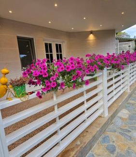 Ishem Apartment | Pines House
