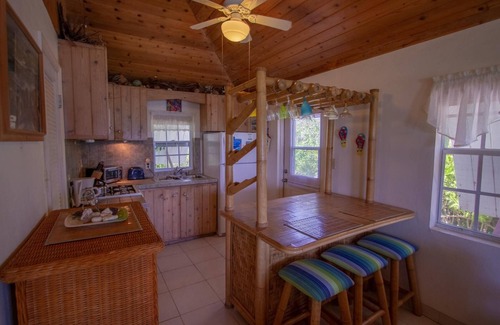 North Palmetto Point Cottage | Pink Sand Cottage Cottage