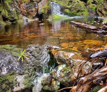 Takaka Hill Other | Pioneer Hut