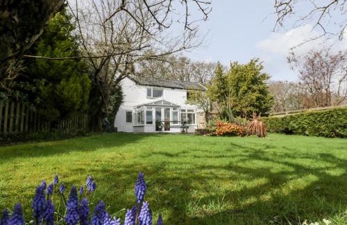 Lydney House | Pippins