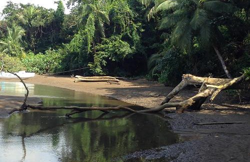 Drake Bay Hotel | Pirate Cove