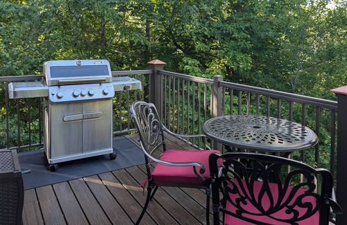 Newland Cabin | Pisgah Forest: 3 BR/3BA, Hot Tub, Wood Stove, Patio, Firepit, Grill, EV Charger