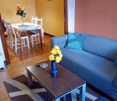 Vigo Apartment | PISO GRAN VIA Vigo