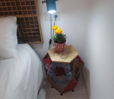 Ourense Apartment | Piso Iwvaxi, gallery house. Ourense.