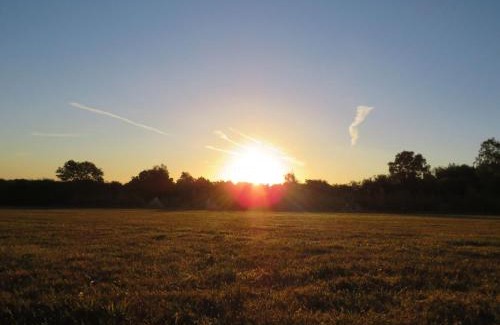 Wadhurst Other | Pitch your own tent on camp field at Hopgarden Camping TN5 6QX - NO BEDS INCLUDED