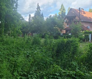 Tiszafured House | Pitypang