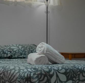 Monteverde Apartment | Pizote Apartment Monteverde 2nd floor