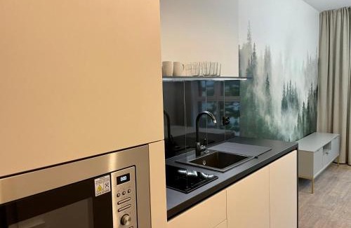 Poznan City Center Apartment | Plac Wolności 6 z klimatyzacją