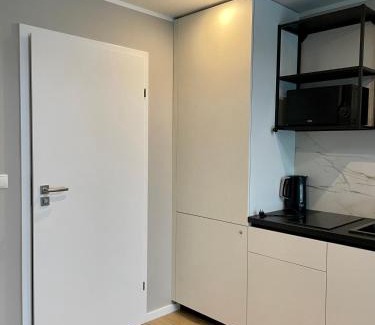 Poznan City Center Apartment | Plac Wolności 6 z klimatyzacją