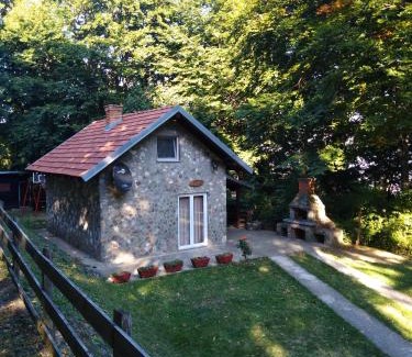 Arandelovac House | Planinska kuca Steki Bukulja