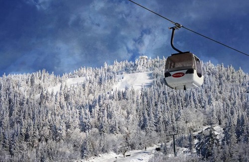 Mont-Tremblant Ski Chalet | Plateau D - Mont-Tremblant