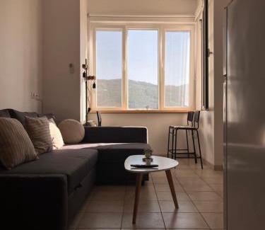 Samos Apartment | Plateia Sea View Apartment