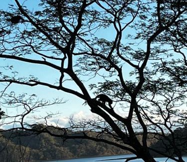 Paquera House | Playa Carao