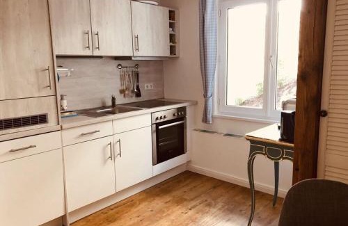 Unteruhldingen Apartment | Pleasant apartment with terrace