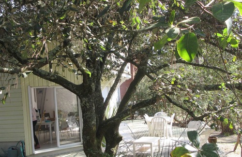 Carcans Ski Chalet | Pleasant chalet between lake, forest and ocean.