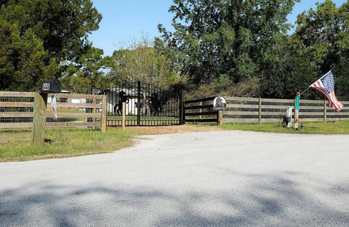 Homosassa Apartment | Pleasant Days Lodging Manatee / Scallop Suite.