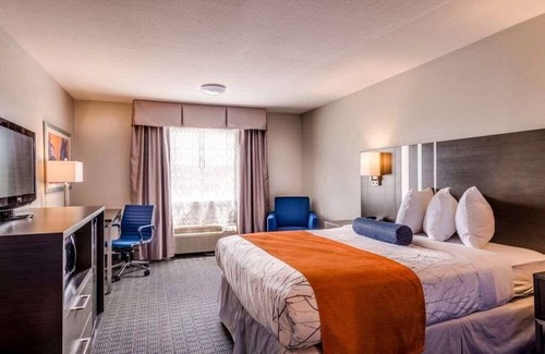 Lexington Hotel | Pleasant Stay, Convenient Location! Free Parking, Free Breakfast, Pool