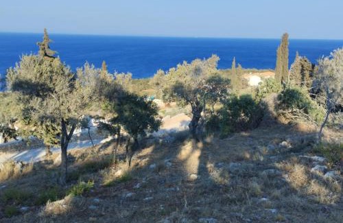 Skinaria Other | Plot to rent