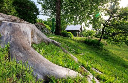 Bohinjska Bistrica House | Počitniška hiša ErOs
