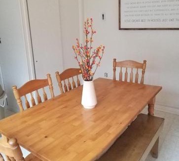 Locust Lake Village Ski Chalet | Pocono Cabin Fireplace Near Skiing Tubing Parks Shopping Casinos