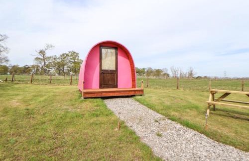 Saint Asaph House | Pod 3