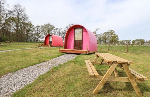 Saint Asaph House | Pod 3