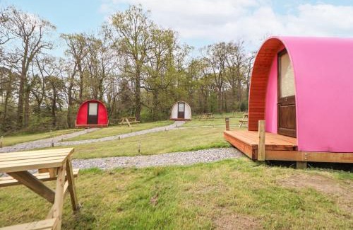 Saint Asaph House | Pod 3
