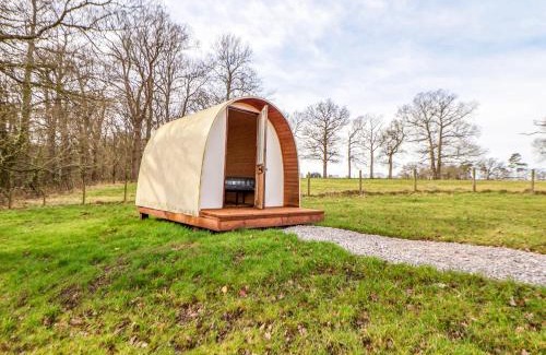 Saint Asaph House | Pod 6