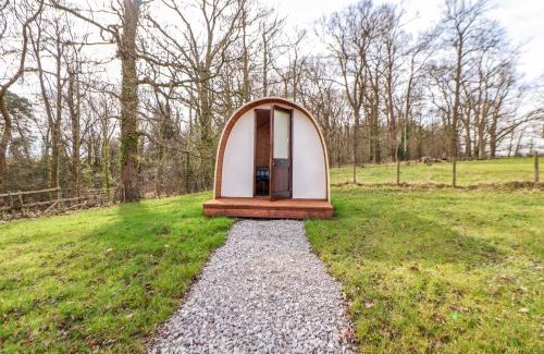 Saint Asaph House | Pod 6