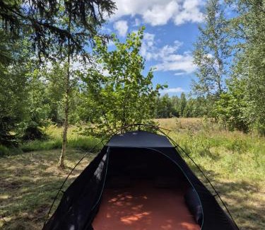 Stola Other | Pod smrekom