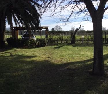 Donoratico Apartment | Podere il Castellaccio Pianetti