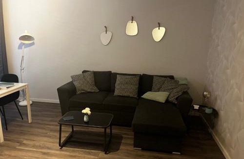 Leiden Apartment | Poelgeeststraat