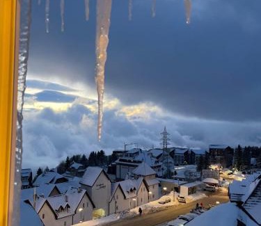 Lisina Apartment | Pogled Apartman Kopaonik