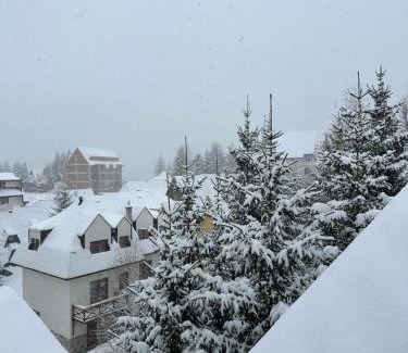 Lisina Apartment | Pogled Apartman Kopaonik