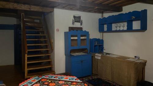 Ocna Sugatag Villa | Poiana Creasta Cocoșului-Casa Floare De Nu Mă Uita