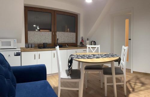 Zywiec Apartment | Pokój z aneksem kuchennym