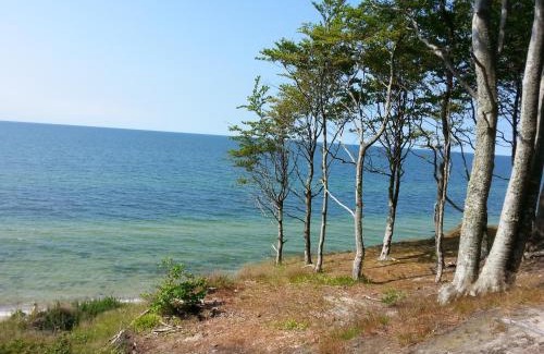 Poddabie Apartment | Pokoje i apartamenty przy Sosnowej