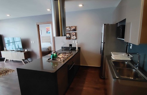 Ampliacion Granada Apartment | Polanco Bronze I Spacious 1 BR Apt in Polanco
