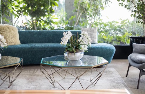 Miguel Hidalgo Apartment | Polanco LiveMexicoCity