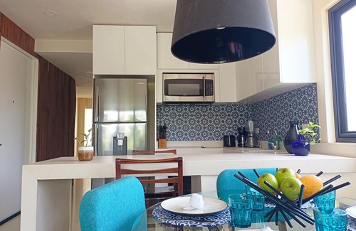 Luis Donaldo Colosio Apartment | Polo 54 Downtown Apartments