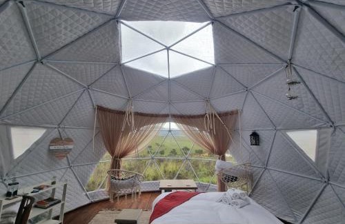 Caledon Other | Pom Gratz - EcoDomes