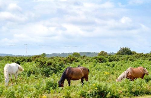 New Forest District House | Pond Cottage