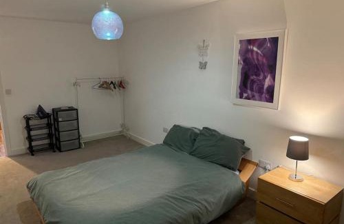 Brierley Hill Apartment | Pond View Spacious Apartment