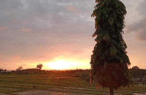 Kelating House | Pondok Dauh Ancak Kelating Guest House