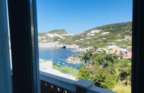 Le Forna Apartment | Ponza Cala Feola IMMOBILEVANTE