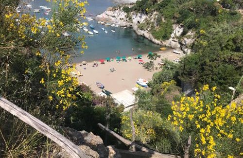 Le Forna Apartment | Ponza Cala Feola IMMOBILEVANTE