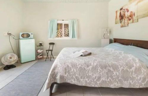 Park West House | Pool Room - Entire Guest Suite - Private Entrance