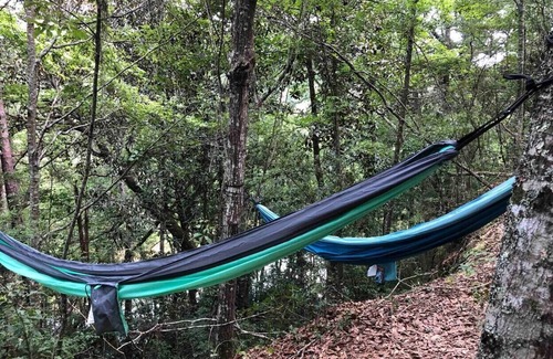 Jesup House | Pop up camp with Little Lulu!
