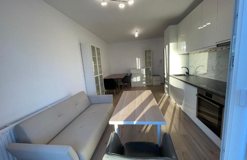 Selimbar Apartment | Popescu Adrian