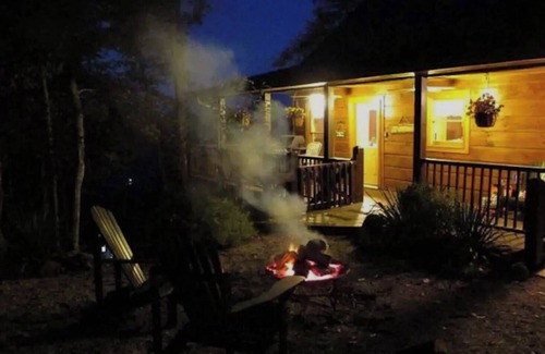 Topton Cabin | Popular Cabin! Lake and Mountain Views, Wi-fi, TV's, LD calling near Topton, NC